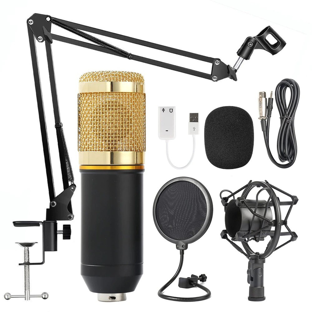 Professional Microphone